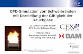 CFD-Simulation von Schwelbränden mit Darstellung der ... · ANSYS Conference & 33rd CADFEM Users' Meeting 2015 June 24-26, 2015, Messe Bremen CFD-Simulation von Schwelbränden mit