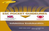 ESC POCKET GUIDELINES - leitlinien.dgk.org · 1 Präambel Diese Pocket-Leitlinie ist eine von der Deutschen Gesellschaft für Kardiologie – Herz- und Kreislaufforschung (DGK) übernommene