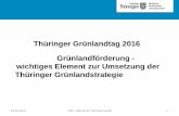 Thüringer Grünlandtag 2016 Grünlandförderung - … 4 1.Grünlandstrategie • 16.06.2016 TMIL, Referat 63, Michael Gewalt Produktives Grünland • relativ artenarmer, ertragsfähiger