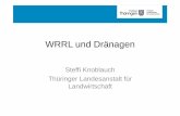 WRRL und Dränagen eines Projektes zur Prüfung von neu zu errichtenden Retentionsräumen zur Bindung von Nährstoffen aus Dränageabflüssen (kontrollierte Dränung, reaktive Boxen