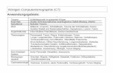 Röntgen Computertomographie (CT) - Epileptologieepileptologie-bonn.de/cms/upload/homepage/lehnertz/CT3.pdf · Röntgen Computertomographie (CT) Spezialanwendungen dynamische CT Messung