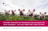 Schneller Nachweis der klassischen Schweinepest mit Stamm VIROTYPE ® CSFV Ct FAM BDV Moredun neg BDV