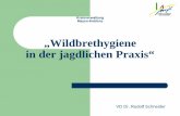 „Wildbrethygiene in der jagdlichen Praxis“ - ljv-nrw.de · Pansen und Darm, Reh. 71 VD Dr. Rudolf Schneider „Wildbrethygiene in der jagdlichen Praxis“ Erhebliche Abweichungen