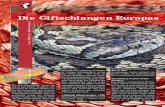 Die Giftschlangen Europas - vipersgarden.atvipersgarden.at/PDF/Rep_76_14_25.pdf · REPTILIA 19 angegebenen Verbreitungsgebiet in der Ukraine, sondern aus Russland (KALYABINA-HAUF