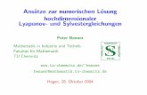 Ans˜atze zur numerischen L˜osung hochdimensionaler ... · PDF fileAns˜atze zur numerischen L˜osung hochdimensionaler Lyapunov- und Sylvestergleichungen Peter Benner Mathematik