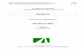 Handbuch SBT d - ASTRA · Eidgenössisches Departement für Umwelt, Verkehr, Energie und Kommunikation UVEK Département fédéral de l’Environnement, des Transports, de l ...
