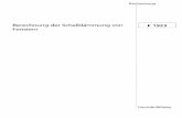 Berechnung der Schalldämmung F 1923 Fenstern - Fraunhofer IRB · Bauforschung Berechnung der Schalldämmung von Fenstern F 1923 Fraunhofer IRB Verlag