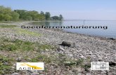 Seeuferrenaturierung · Einrichtung einer Schilfpflanzung am Gr. Plöner See, die durch Palisaden und einen Zaun geschützt wird ...
