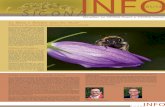 SICONAINFOsicona.lu/d/aktuelles/2014/Info114kleng.pdf · 01/14 Aktuelles vu SICONA-Ouest a SICONA-Centre SICONA INFO Eis Beien a Bommele brauchen Hëllef Wildbienen, die unterschätzten