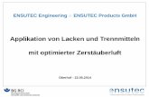 Applikation von Lacken und Trennmitteln mit optimierter ... · ENSUTEC Engineering & ENSUTEC Products GmbH Applikation von Lacken und Trennmitteln mit optimierter Zerstäuberluft