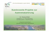 Bundesweite Projekte zur Auenrenaturierung - LfU Bayern · BfN, 2009 Es besteht ein dringender Handlungsbedarf, den Flüssen wieder mehr Raum zu geben und den ökologischen Zustand