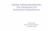 Häufige Infektionskrankheiten und Parasitosen bei ... Pass BDWHA.pdf · Spulwürmer ( Ascaridia sp.)/ Haarwürmer ( Capillaria sp.): Magenwürmer (Spiruroiden z.B. Dispharynx nasuta
