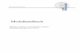 Modulhandbuch - Regio Chimica · PDF fileBachelor of Science im Fach Regio Chimica (Prüfungsordnungsversion 2013) Prolog B.Sc. Regio Chimica Grenzüberschreitender Chemie-Studiengang