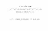 SCHÜMEL NATURSCHUTZSTIFTUNG HOLDERBANKschuemel-naturschutz.ch/docs/JB_Schuemel_2013.pdf · Schümel Naturschutzstiftung Holderbank Jahresbericht 2013 1. Jahresbericht des Präsidenten