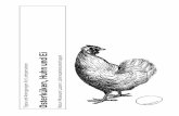 Osterküken, Huhn und Ei - naturmuseum.ch€¦ · Allgemeines 2 Osterküken im Natur-Museum Luzern: Vom Experiment zum Kult 3 Zur Sache: Wie geht das mit dem Brüten? 5 Bruteier 5