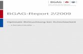 BGAG-Report 2/2009 - DGUV Publikationenpublikationen.dguv.de/dguv/pdf/10002/report2009-02.pdf · Abstract Optimising lighting for shift work – Literature review Accident insurance