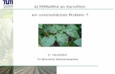ALTERNARIA an Kartoffeln: ein unterschätztes Problem · Karlena Marabell Solara Albatros Agria Maxilla Logo Kuras AUDPC (% & Tag) Standort Weihenstephan 2006 ... (Johnson 1986) yield