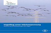 Vogelflug unter Höchstspannung - NABU · Grosse, H., Sykora, W., Steinbach, R. (1980): Eine 220-kV-Hochspannungstrasse im Überspannungsgebiet der Talsperre Windischleuba war Vogelfalle.