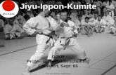 Jiyu-Ippon-Kumite - karate-obertshausen.de · alle KATA unsere Stilrichtung zu ... Diese Übung hat beim Kumite-Training im JKA-Karate eine ... Für erfahrene Kämpfer ist diese Methode