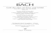 Johann Sebastian BACH - carusmedia.com · für Soli (SAB), Chor (SATB) 2 Flöten ad libitum, 2 Oboen, 2 ... let us give thanks to God the Lord) ... Die Kantate ist mit autographer