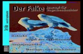 2015 01 (Januar) - Dachverband Deutscher …. Jahrgang · Januar 2015 · D: € 4,95 · A: € 5,00 · CH: CHF 8,20 01 2015 Seltene Vogelarten in Deutschland: Seeregenpfeifer Vogelnamen: