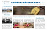 Infojournal aus dem Gemeindeleben Ausgabe Nr.  · PDF fileChristian-Bauer-Weg 8, 85464 Neufinsing, ... Sein Credo lautet: Entschei- ... in der Anton-Bruckner-Straße