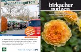 Bankier Extras - Birkacher Notizenbirkacher-    2 30 Jahre Birken-Apotheke 30 Jahre sind