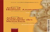 Wolf-Heidegger’s Atlas of Human Anatomy · Wolf-Heideggers Atlas der Anatomie des Menschen wur- de speziell für Studenten der Human- und Zahnmedizin im vorkli- nischen und …