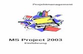 MS Project 2003 - itnet-ks.de · MS-Project 2003 IT Network Solution Einführung Seite 3 Inhaltsverzeichnis 1 Eine Vorgeschichte ...
