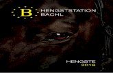 Hengststation BacHl · 04 12 28 36 Über uns 04 - 05 Aktuelle Hengste Hengste im Überblick 06 - 07 Adzaro de L‘Abbaye B 08 - 09 Cervino H 10 - 11 Cordolensky 12 - 13