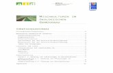 Mischkulturen im ökologischen Gemüsebau - …€¦  · Web viewHinweisDiese Materialien sind auf unserer Internetseite sowohl als Word- als auch als barrierefreie PDF-Datei zu