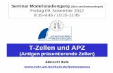 T-Zellen und APZ - Ruhr-Universität Bochum · (Blut und Immunologie) Freitag 09. November 2012 8:15-9:45 / 10:15-11:45 . T-Zellen, T-Zell Rezeptor und MHC. T und B Zellen zirkulieren