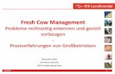 Fresh Cow Management - ATR Landhandel · Symptome: die Eihäuten werden nicht innerhalb von 12 Stunden nach der Geburt ausgestoßen (normal: 3-8 Stunden) Eihäute hängen sichtbar