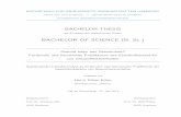 BACHELOR OF SCIENCE (B. Sc.) - …edoc.sub.uni-hamburg.de/haw/volltexte/2015/3173/pdf/Kilian_Erlen... · umfassendes und für die Erklärung und Änderung von Gesundheitsverhalten
