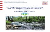Förderprogramme zur Umsetzung der EG ... · Abschlussbericht zum Pilotprojekt „Ableitung von Prioritäten bei Maßnahmen zur ... Förderprogramme in Hessen und hesseninterne Stiftungen