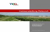 Heideansiedlung Relaunch · Richtlinien für die Arbeitsgruppe Heideansiedlung-Relaunch ... Erfolgsfaktoren in kommunalen Projekten ... 5.1 Besprechung und Beratung vorliegender Problemstellungen