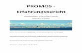 PROMOS - Erfahrungsbericht - haw-hamburg.de · interessant und lehrreich, da er Dinge behandelt hat, die auch in meinem Studium in Deutschland von Bedeutung sind und man diese Dinge