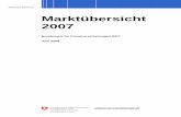 Mustervorlage Richtlinien (Deutsch) · PDF filezweite, vorliegende ... Bereichen Corporate Governance sowie Risikomanagement und Internes Kon- ... Dem Überschussfonds (Zeile 13)