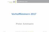 Vorhofflimmern 2017 Peter Ammann - Kantonsspital … · Vorhofflimmern 2017 07.07.2017 Referent / Bereich 2 Classification of AA Drugs (Vaughan Williams Sing 1969) Class I Na channel
