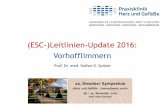 (ESC-)Leitlinien-Update 2016: Vorhofflimmern · „Signifikanzen“ für NOAK vs. Warfarin Überblick – qualitativ, Gesamtstudie vs. Warfarin Insult + SEE ischäm. Insult schwere