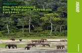 Den Urwald im Herzen Afrikas retten - greenpeace.de · in Afrika ist wichtig für die Regulation des Weltklimas. Millionen Menschen leben dort, darunter nomadische ... Stirbt der