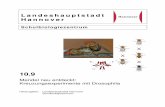 AH 10.9 Kreuzungen Drosophila 150309Me 10.9 Kreuzungen Drosophila... · Seite 3 AH 10.9 Kreuzungsexperimente mit Drosophila  Inhalt Vorwort