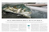 Die Valperca SA züchtet Eglis und nutzt dabei das …€¦ · plant den Aufbau der grössten Fisch zuchtanlage der Schweiz mit ... Flusskrebs.» Die Äsche ist ein ge-eigneter, wenn