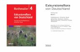 Exkursionsflora von Deutschland - Die floristische … die wohl 2012 erscheinen wird, liefert vorläufig die beste Grundlage zur Bestimmung; vgl. auch DUNKEL, F.-G. in Ber. Bayer.