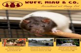 WUFF, MIAU & CO. - tierheim- · PDF filePiepmätze im Winter ... eine junge Katze, ein Meerschweinchen oder ein Kaninchen als ... weg Richtung Hasenstall, die so wunderbar zum Stolpern
