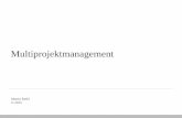 Multiprojektmanagement - Martin Riebl Projektmanagementriebl-pm.de/wp-content/uploads/2015/02/MPM-GPM-Muc-13.1... · 2015-02-06 · Projektmanagement-Methoden Training, Coaching Koordinierungsfunktion