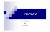 Biomasse - th. œbersicht Was ist Biomasse ? Wie kann man Sie nutzen ? Heutige Nutzung / Projekte
