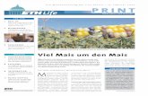 Die Monatszeitung der ETH Zürich • 15. Februar 2002 … · HV informierte sich und dis-kutierte 11 NEUES KAPITEL ... pflanzen hingegen ist die Biodiversität hauptsächlich dadurch
