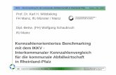 Kennzahlenorientiertes Benchmarking mit dem IKKV ... · IfU - Institut für Umweltökonomie, Büro Mainz IKKV – Benchmarking für die kommunale Abfallwirtscha ft in Rheinland-Pfalz