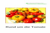 Rund um die Tomate - landwirtschaftskammer.de · 3 Inhaltsverzeichnis Das sollte man über die Tomate wissen 5 Tomate, die „Biobombe“ 6 Schlechter Geschmack der neuen Sorten?